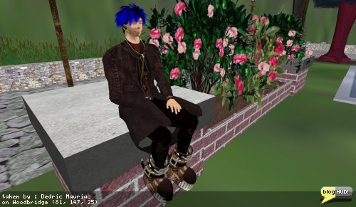 Live Streaming within Second Life